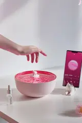 Newface Z5 Arktik Okyanus Temalı BT Kablosuz Hoparlör - Pembe